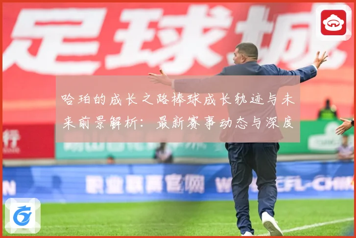 哈珀的成长之路棒球成长轨迹与未来前景解析：最新赛事动态与深度分析